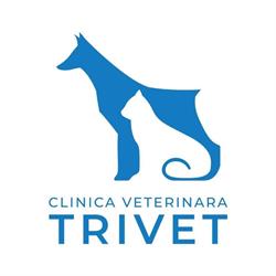 Trivet S.r.l, Cluj-Napoca program de funcționare