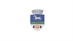 Primăria Municipiului Alexandria, program de funcționare