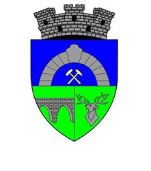 Primaria Anina, program de funcționare