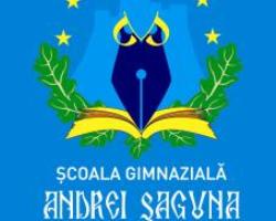 Scoala Cu Clasele i - Viii Andrei Saguna Deva, program de funcționare