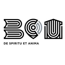Biblioteca Centrala Universitara Carol i în Bucureşti, Sector 1 - program de funcționare