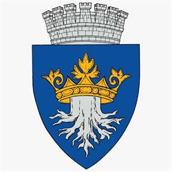 Primăria Braşov, program de funcționare