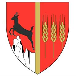Consiliul Judetean Neamt, Piatra-Neamţ program de funcționare