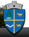 Primaria comunei sant, Şanţ program de funcționare