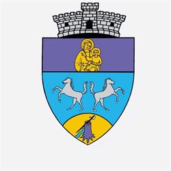 Primăria Giarmata, program de funcționare