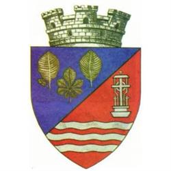 Primăria Făget, program de funcționare