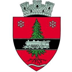 Primăria Întorsura Buzăului, program de funcționare