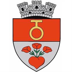 Primăria Oraşului Ghimbav, program de funcționare