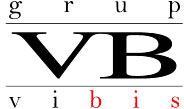 Grup - Vibis SRL, Bistriţa program de funcționare