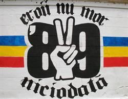 Memorialul Revoluţiei, Timişoara program de funcționare