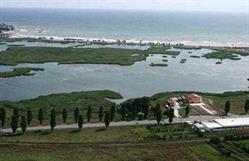 Primăria Mangalia, program de funcționare