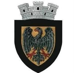 Primăria Negreşti, program de funcționare