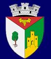 Primăria Oraşului Babadag, program de funcționare
