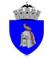 Primaria Municipiului Campulung, program de funcționare