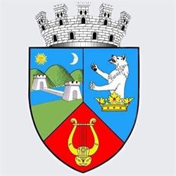 Primăria Municipiului Lugoj, program de funcționare