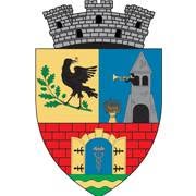 Primaria Nadlac, program de funcționare