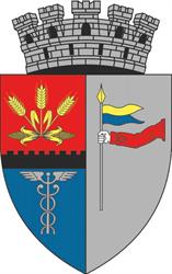 Primaria Rosiorii de Vede, program de funcționare