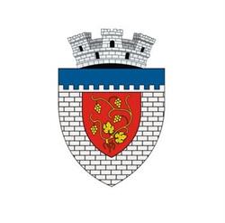 Primăria Târgu Neamţ, program de funcționare