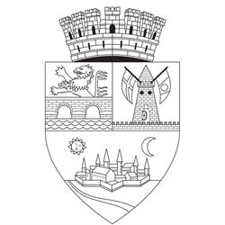 Primaria Municipiului, Timişoara program de funcționare