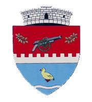 Primăria Tunari, program de funcționare