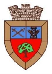 Primaria Orasului Videle, program de funcționare