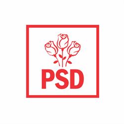 Partidul Social Democrat-Filiala Ilfov în Bucureşti, Sector 2 - program de funcționare