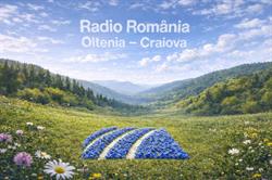 Radio Oltenia Craiova, program de funcționare