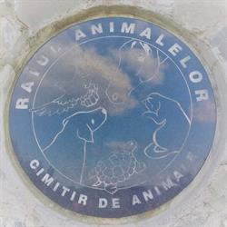Raiul Animalelor, Căţelu program de funcționare