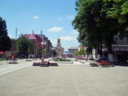 Primăria Sânnicolau Mare, program de funcționare