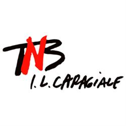 Teatrul Naţional "Ion Luca Caragiale" în Bucureşti, Sector 1 - program de funcționare