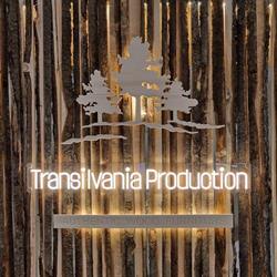 Transilvania Production SRL în Câmpeni, Botesti - program de funcționare