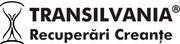 Transilvania Recuperari Creante SRL, Cluj-Napoca program de funcționare