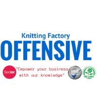 Offensive S.r.l, Satu Mare program de funcționare
