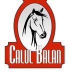Restaurant Calul Balan, Buftea program de funcționare