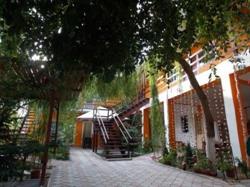Pensiunea Vila Roby, Costineşti program de funcționare