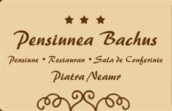 Pensiunea Bachus, Piatra-Neamţ program de funcționare