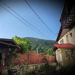 Casa Coca, Azuga program de funcționare