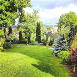 Pensiunea Casa Contelui, Râşnov program de funcționare