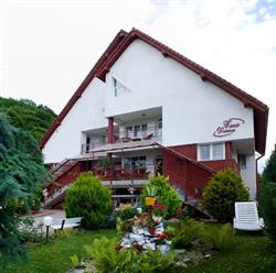 Pensiunea Casa Diana, Sovata program de funcționare