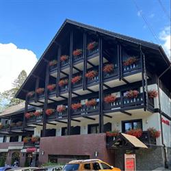 Hotel Casa Iris, Sinaia program de funcționare