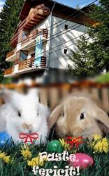 Pensiunea Casa Soarelui, Sinaia program de funcționare