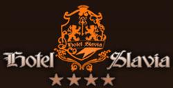 Hotel Slavia, Salonta program de funcționare