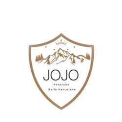 Pensiunea Jojo 2, Băile Herculane program de funcționare