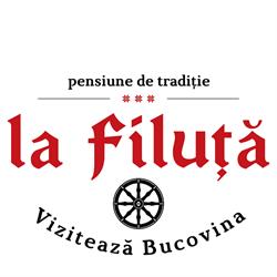 Pensiunea La Filuta, Mălini program de funcționare