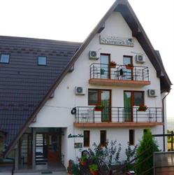 Pensiune & Restaurant Shamrock Inn, Iaşi program de funcționare