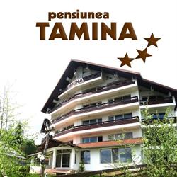 Pensiunea Tamina, Predeal program de funcționare