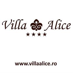 Villa Alice în Suceava, Centru - program de funcționare