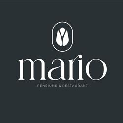 Pensiune si Restaurant Mario, Beiuş program de funcționare
