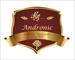 Pensiunea Andronic, Timişoara program de funcționare
