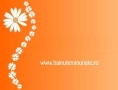 Hainute Minunate, Timişoara program de funcționare